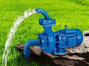 Submersible pumps for agriculture